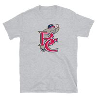 Brevard County Manatees