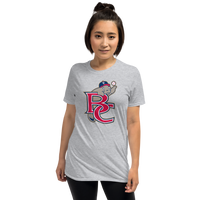 Brevard County Manatees