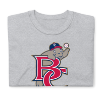 Brevard County Manatees