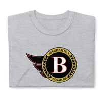 Binghamton Senators