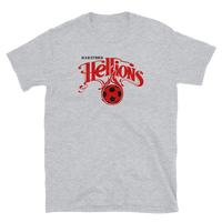 Hartford Hellions