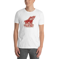 New Planet Roller Rink