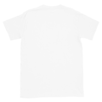 Geiser's Potato Chips