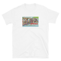 Excelsior Springs, Missouri