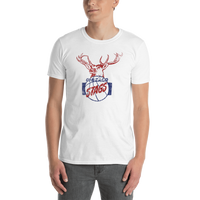 Chicago Stags