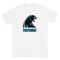 Michigan Panthers