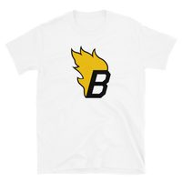 Oklahoma City Blazers