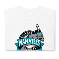 Brevard County Manatees