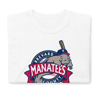 Brevard County Manatees