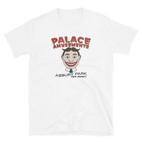 Palace Amusements