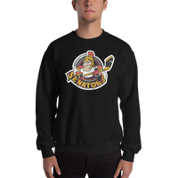 Binghamton Senators (XL logo)