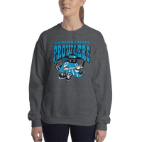 Mohawk Valley Prowlers (XL logo)
