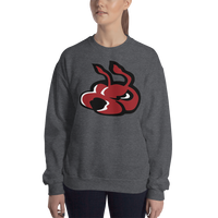 Fayetteville FireAntz (XL logo)