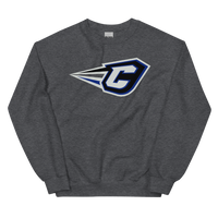 Cincinnati RailRiders (XL logo)