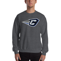 Cincinnati RailRiders (XL logo)