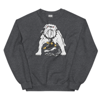 Long Beach Ice Dogs (XL logo)