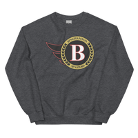 Binghamton Senators (XL logo)