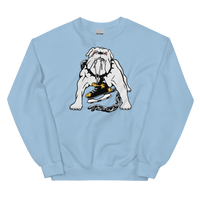 Long Beach Ice Dogs (XL logo)