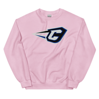 Cincinnati RailRiders (XL logo)