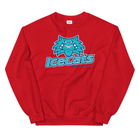 Worcester IceCats (XL logo)