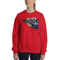 Cincinnati RailRiders (XL logo)