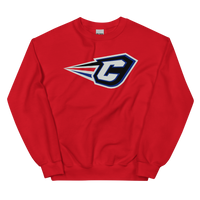 Cincinnati RailRiders (XL logo)