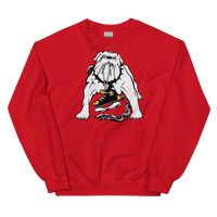 Long Beach Ice Dogs (XL logo)
