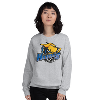 Chicago Hounds (XL logo)