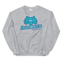 Worcester IceCats (XL logo)