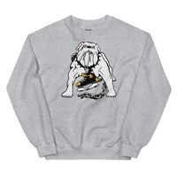Long Beach Ice Dogs (XL logo)