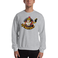 Binghamton Senators (XL logo)