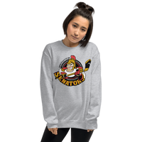 Binghamton Senators (XL logo)