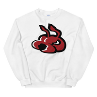 Fayetteville FireAntz (XL logo)