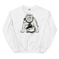 Long Beach Ice Dogs (XL logo)