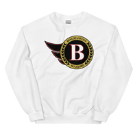 Binghamton Senators (XL logo)