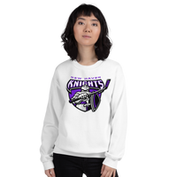 New Haven Knights (XL logo)