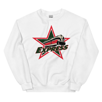 Roanoke Express (XL logo)