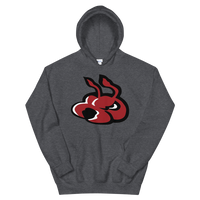 Fayetteville FireAntz (XL logo)