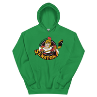 Binghamton Senators (XL logo)