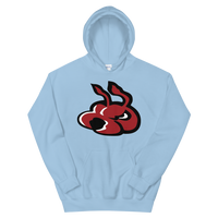 Fayetteville FireAntz (XL logo)