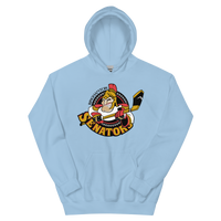 Binghamton Senators (XL logo)