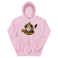 Binghamton Senators (XL logo)