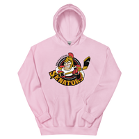Binghamton Senators (XL logo)
