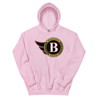 Binghamton Senators (XL logo)