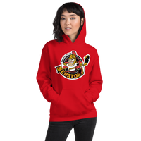 Binghamton Senators (XL logo)