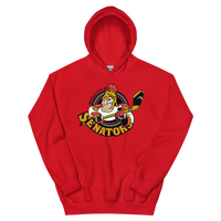 Binghamton Senators (XL logo)