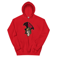 Binghamton Senators (XL logo)