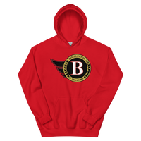 Binghamton Senators (XL logo)