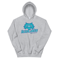 Worcester IceCats (XL logo)