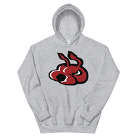 Fayetteville FireAntz (XL logo)